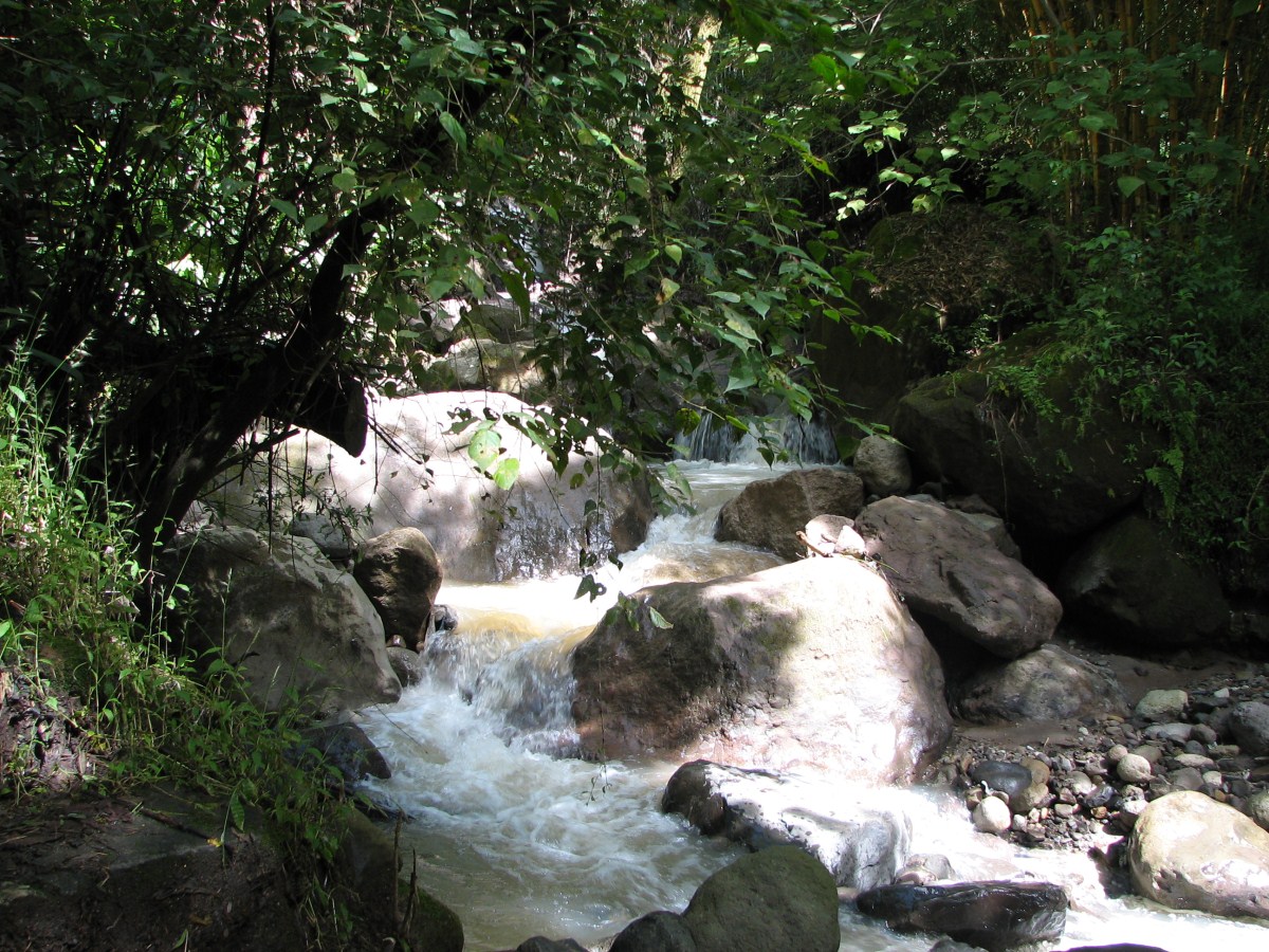 slideshow image